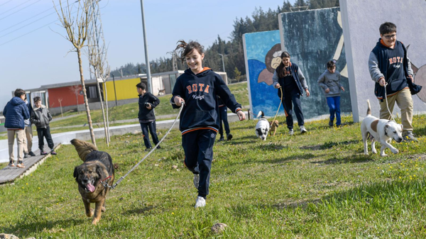 “Satın alma, sahiplen” çağrısı