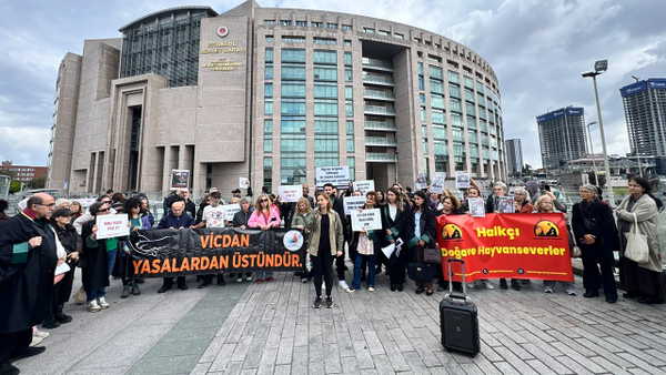 Hayvan hakları savunucularından 'adalet' çağrısı: 75 imzayla Cenevre'ye başvuru!