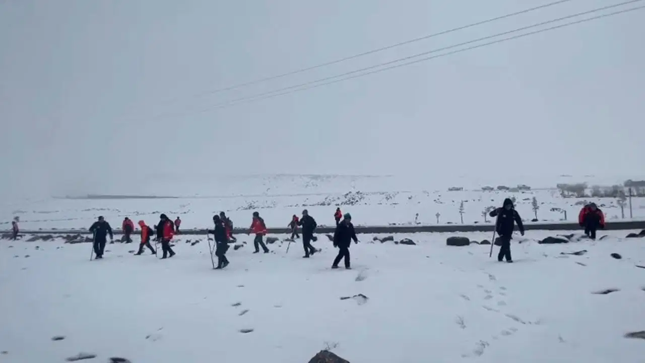 137 kişilik ekip arıyor: Diyarbakır'da kaybolan kadın 6 gündür bulunamadı