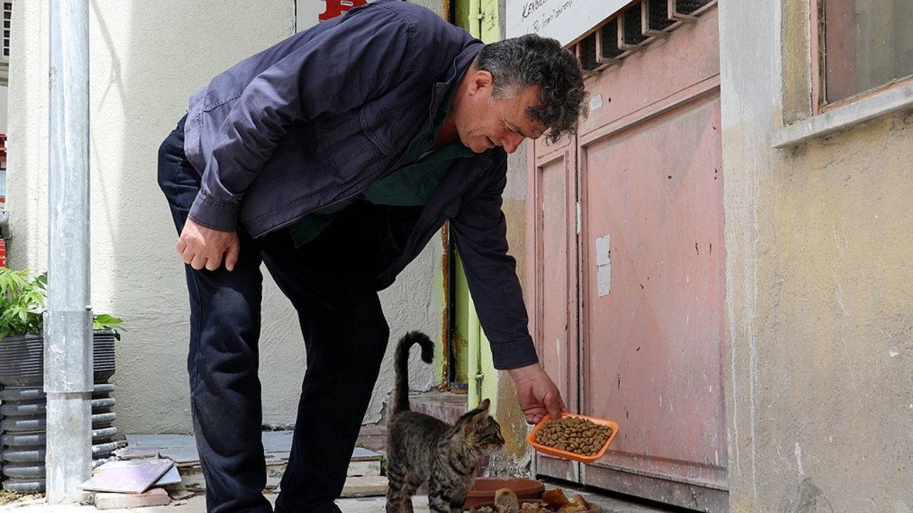 Sokak hayvanları için evde hazırlayabileceğiniz basit ve sağlıklı mamalar