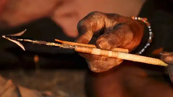 İnsanlığın en 'ilkel' modern silahı keşfedildi: Bilinen en eski zehirli oklar 60 bin yıl önce kullanılmış