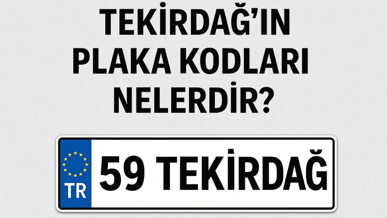 Tekirdağ'ın plaka kodu ne? Tekirdağ'ın plaka numarası kaç? Tekirdağ ve ilçelerinin plaka harfleri...
