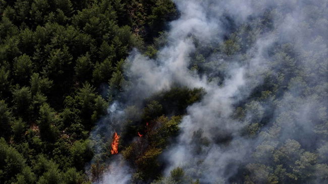 Fethiye'de orman yangını