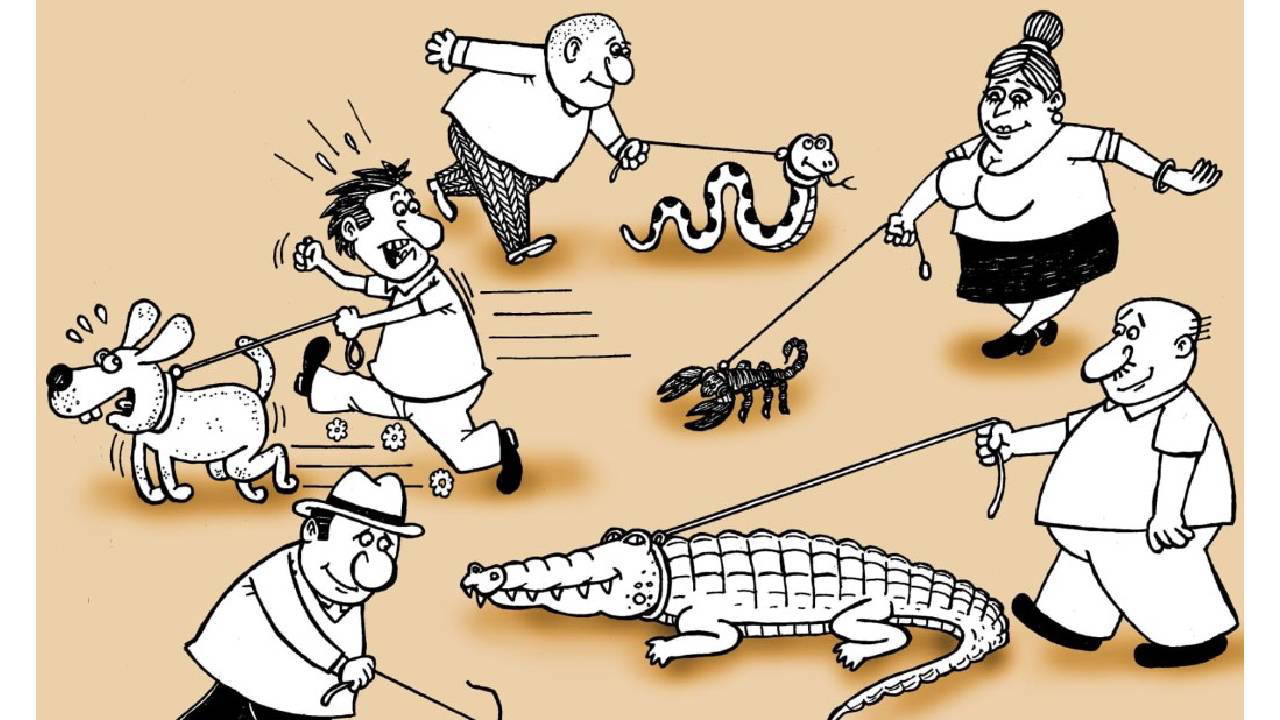 Ciddiyet - 17 Ocak 2026