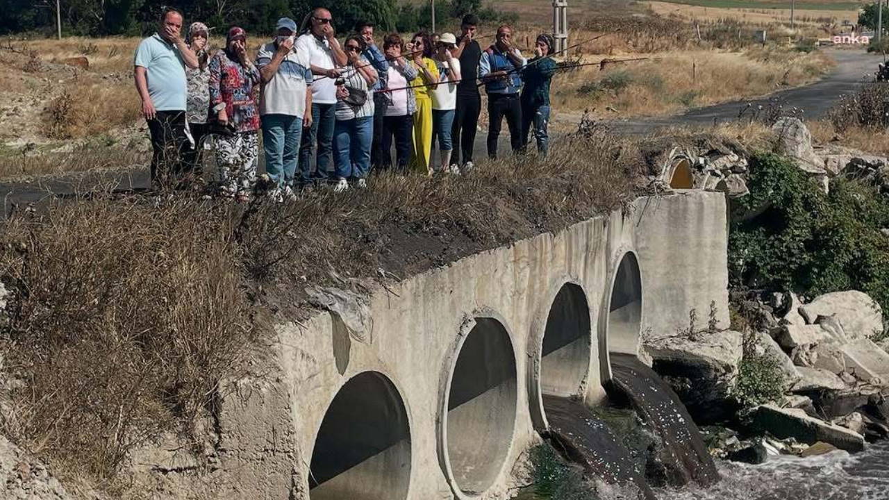 Ergene Nehri 'kanser' saçıyor: Ölüm kokuyor
