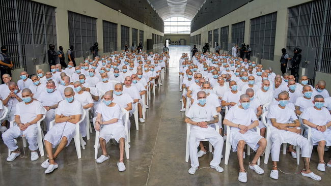 Yüzlerce çete üyesi aynı anda yargılanıyor