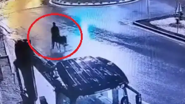 Forkliftle kuyumcu soymuş, eşeğiyle kaçmıştı: İfadesi ortaya çıktı!