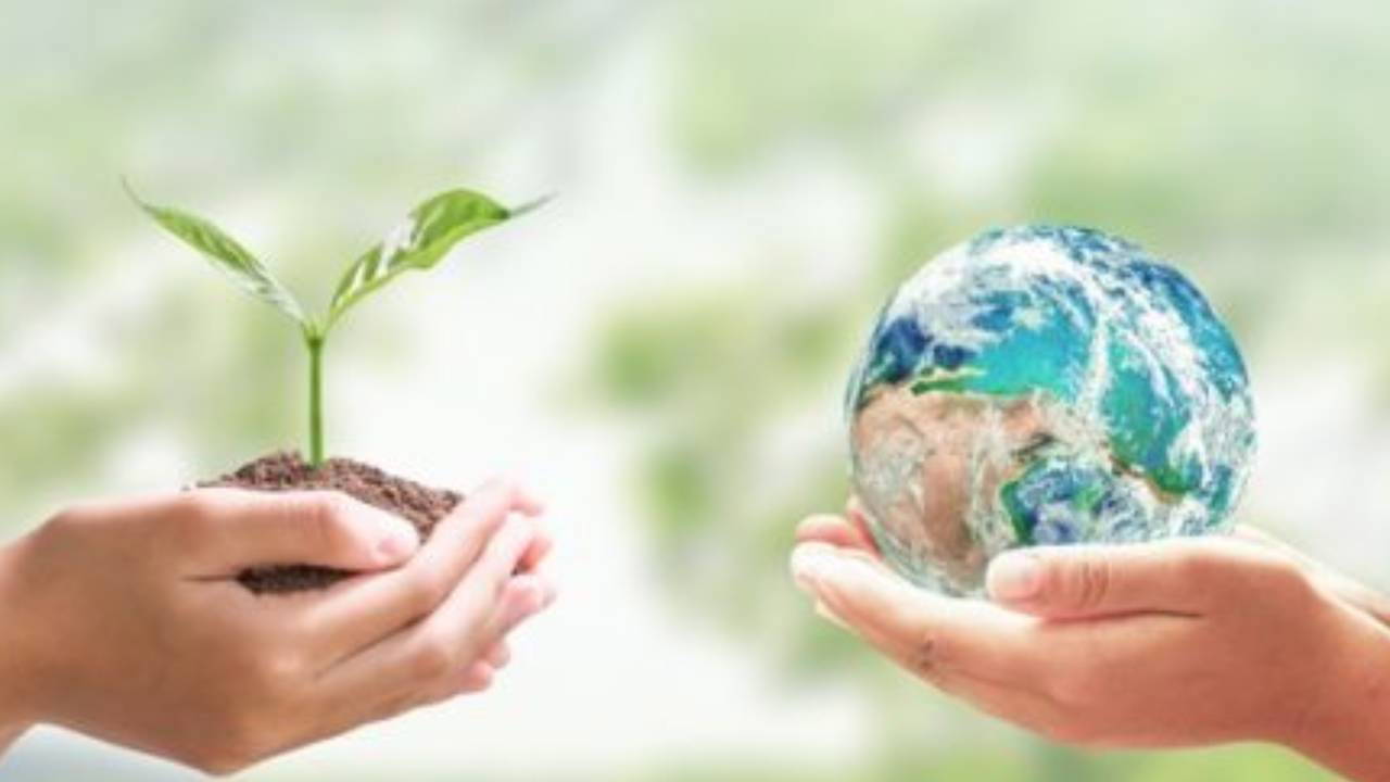 Geleceği korumak için küçük adımlar: Dünya Tasarruf Günü