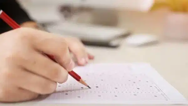 ALES giriş belgeleri erişime açıldı