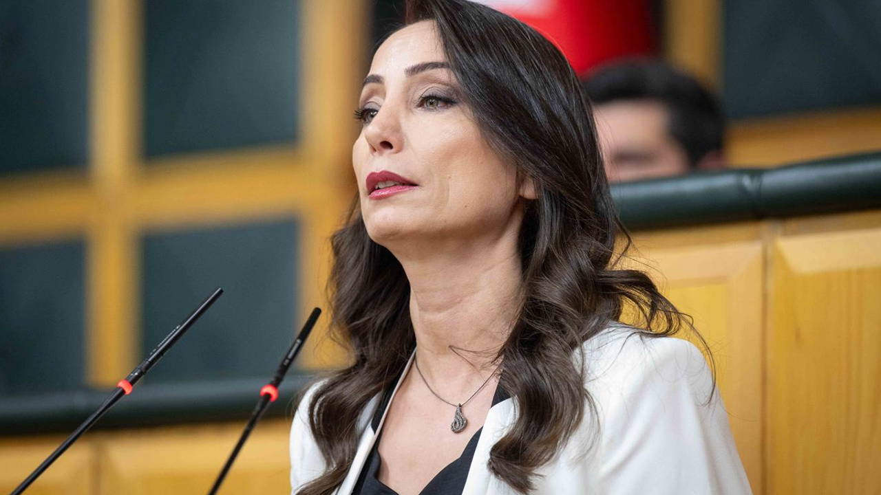 Hatimoğulları'ndan dikkat çeken 'çerçeve yasa' çıkışı: AKP 'mutabakat sağlandı' diyor fakat bize ulaşan bir metin yok