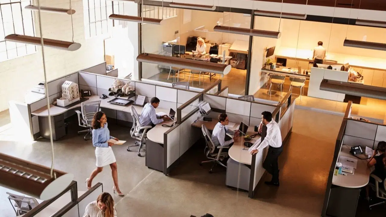 Modern iş dünyasında 'açık ofis' tuzağı: Verimliliği değil zorbalığı artırıyor