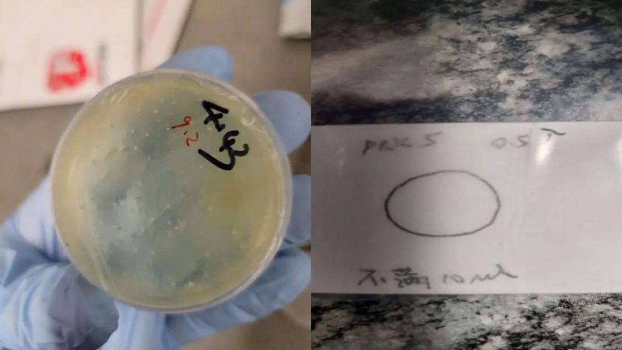 Çinli bilim insanına 'kaçakçılık' suçlaması