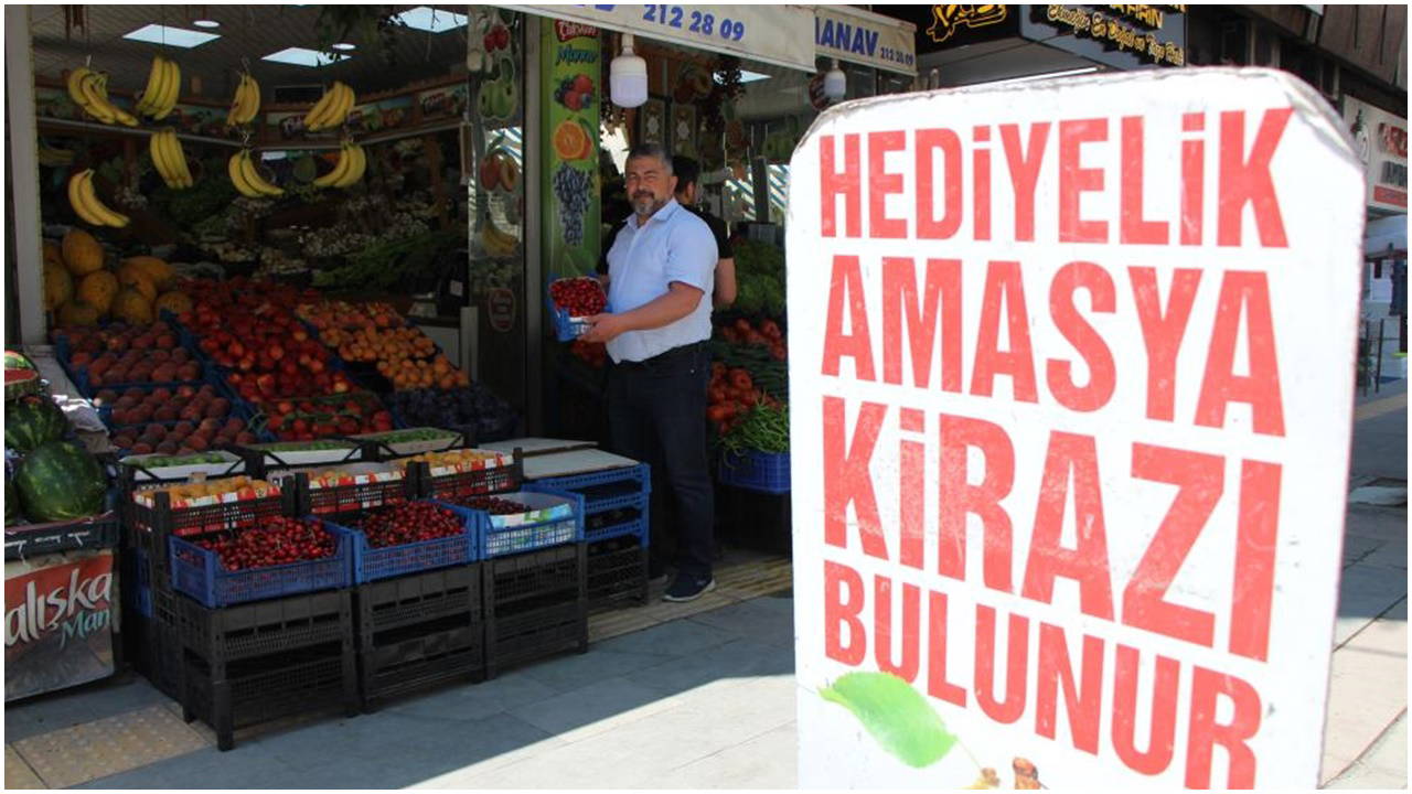 Zirai don Amasya'da 60 yıllık geleneği bozdu: Tarlada bir tane bile toplanamadı!