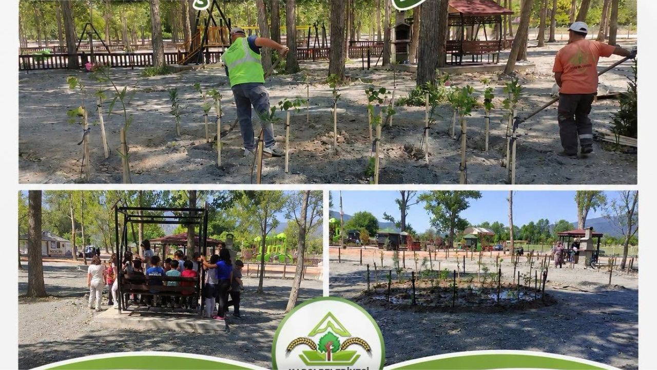 Kargı Belediyesi, park ve yeşil alan düzenleme çalışmalarını sürdürüyor