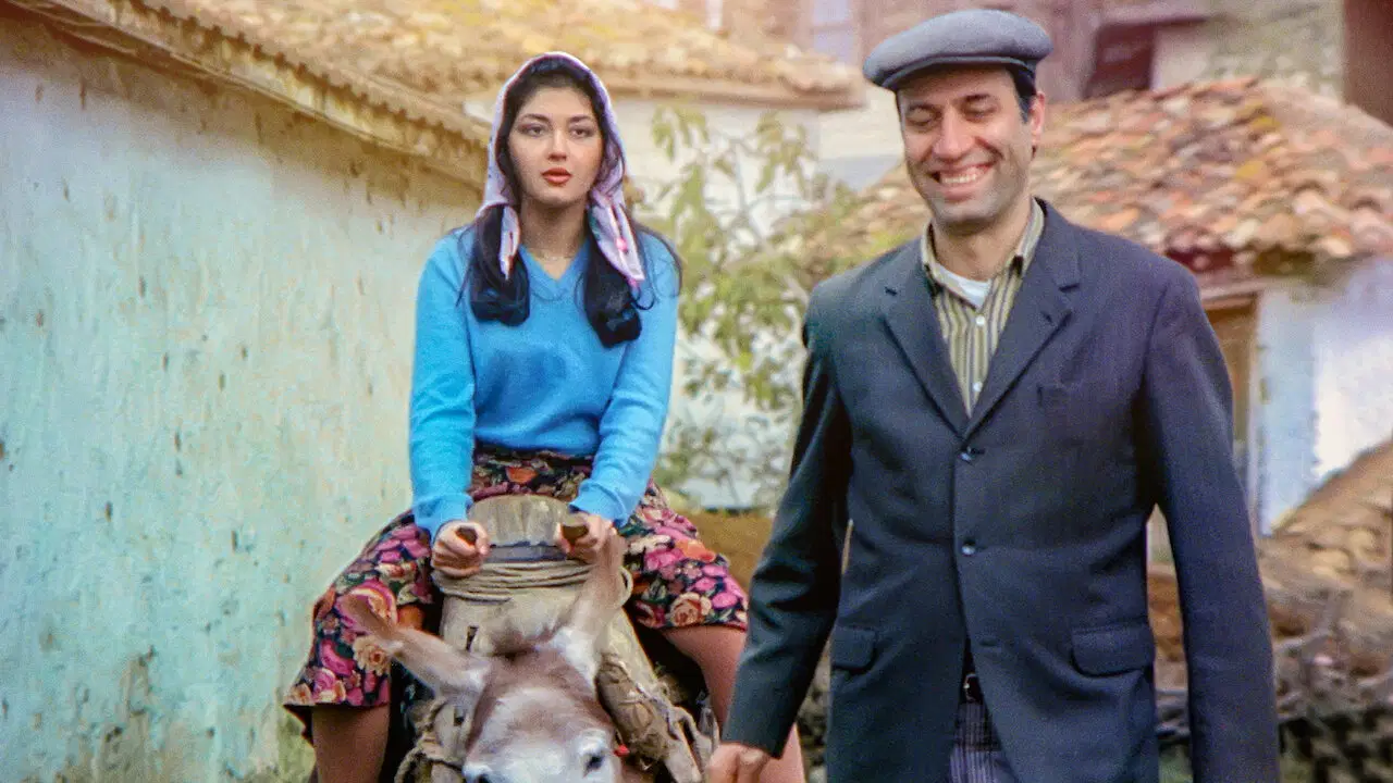 Tokatçı filminin konusu ne? Tokatçı filminin oyuncuları kim?