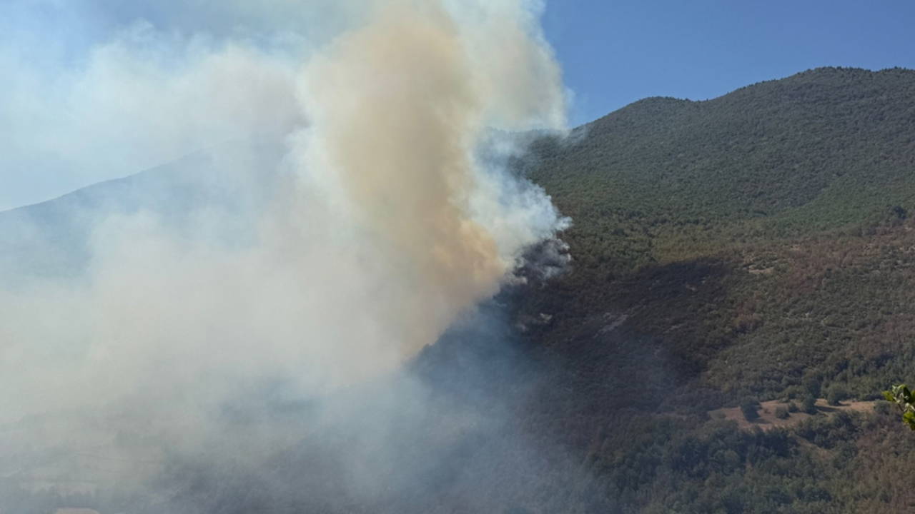 Küre Dağları Milli Parkı'nda orman yangını!