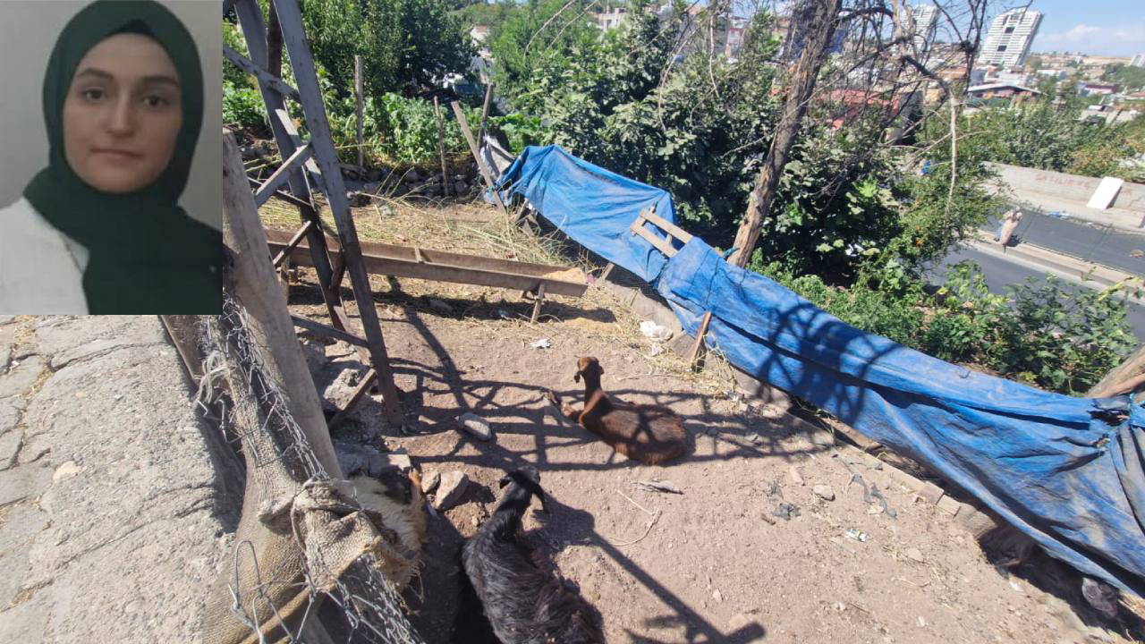 Yerde hareketsiz yatan keçiye dokununca hayatını kaybetti!