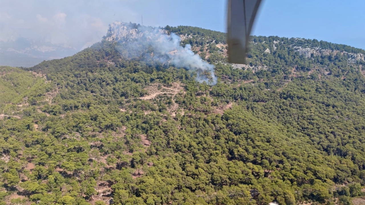 Antalya'da orman yangını!