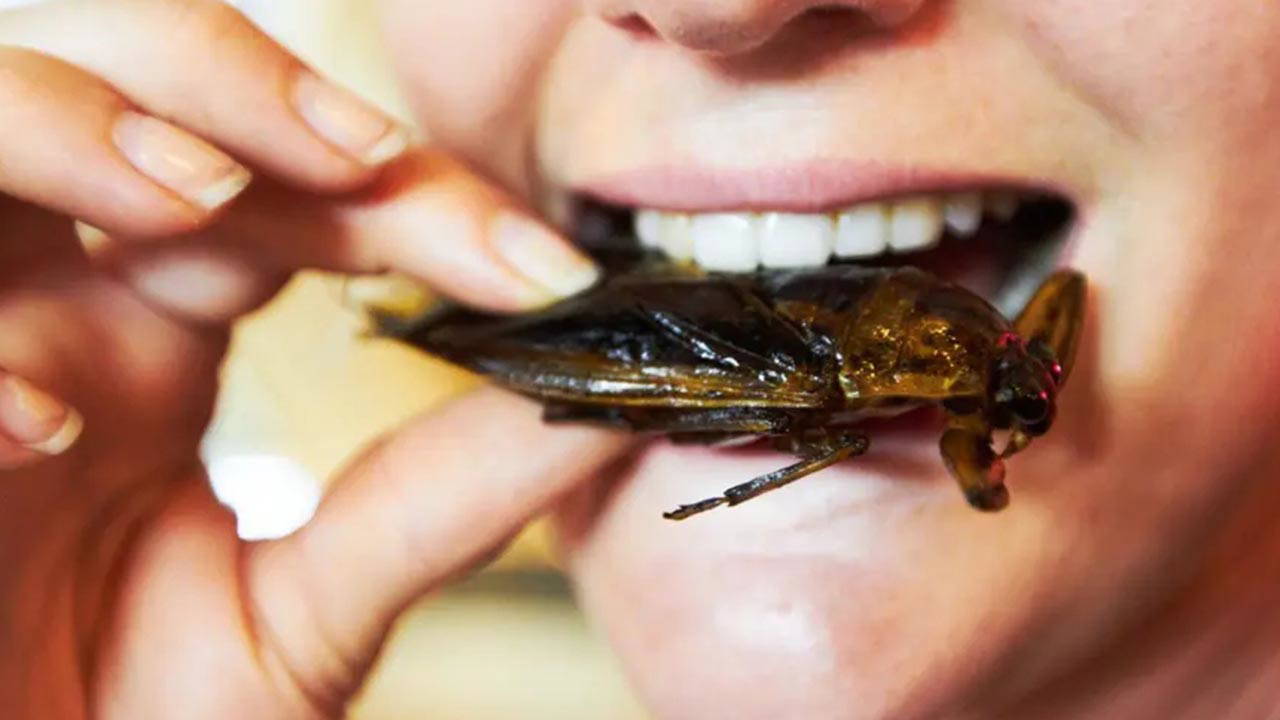 ‘Gastronomide şefler böcek proteinine yöneliyor’