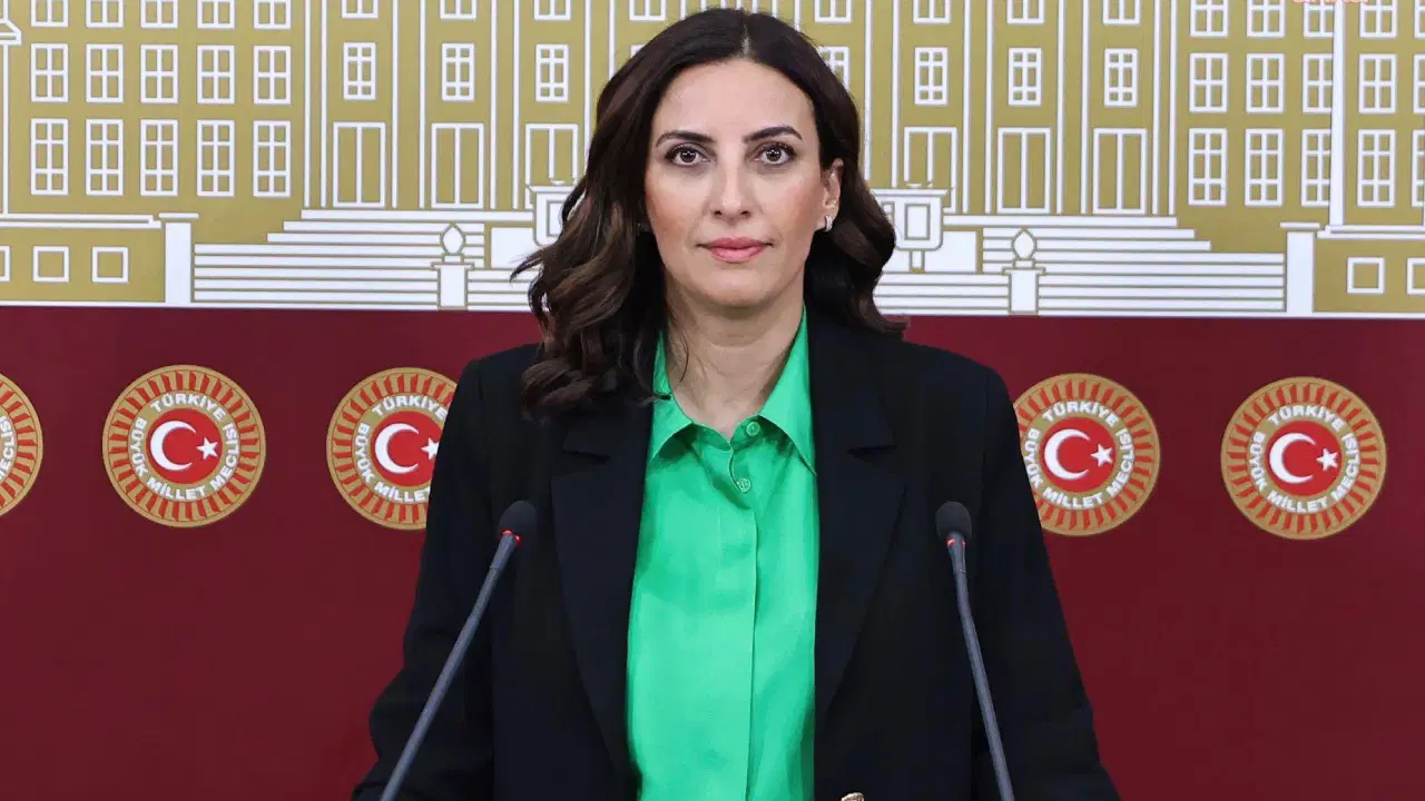 YENİ Partili Evrim Rızvanoğlu’ndan iktidara çevre politikası eleştirisi: 'Doğayı değil rantı önceleyen sistem kuruldu'
