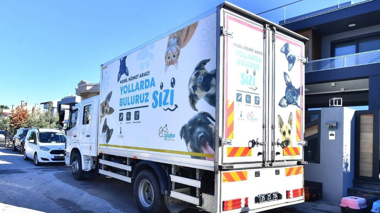 İzmir'de 7 bin kediye mobil kısırlaştırma