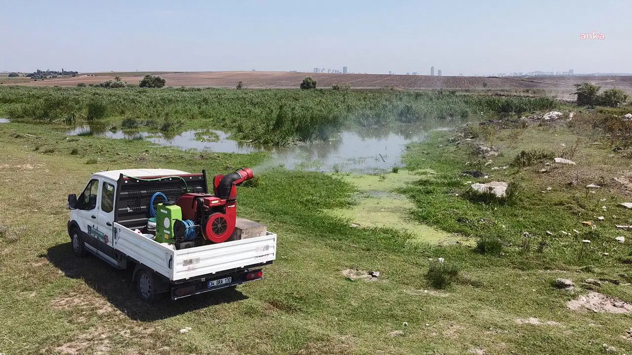 İstanbul Valiliği'nden karasinek, sivrisinek, kene genelgesi: 'Büyük önem arz etmekte...'