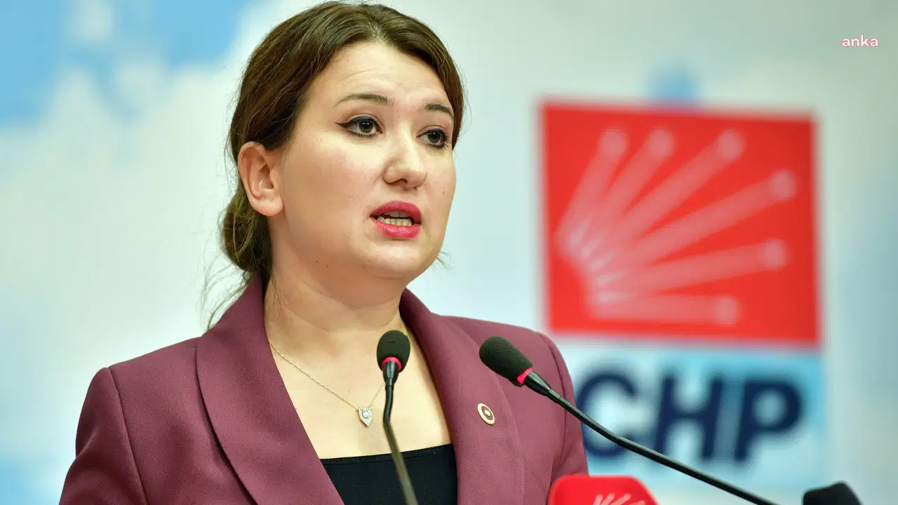 Gökçe Gökçen'den NATO'ya çağrı: 'Gazetecilerin zirveyi serbestçe takip etmesini sağlayın'