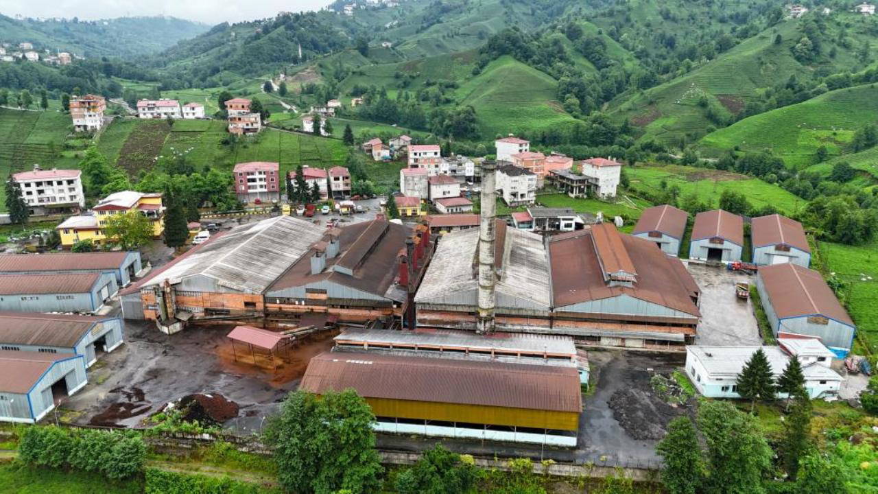 Çay fabrikasından çıkan kömür tozları çay bahçelerine yağıyor