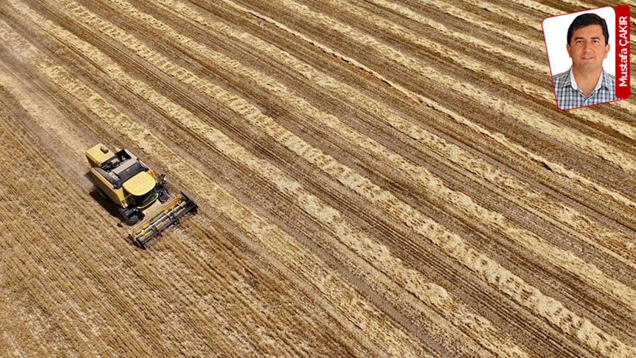 24 yıl sonra yeniden tarım sayımı!