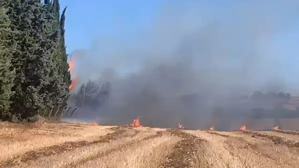 Silivri'de korkutan yangın!