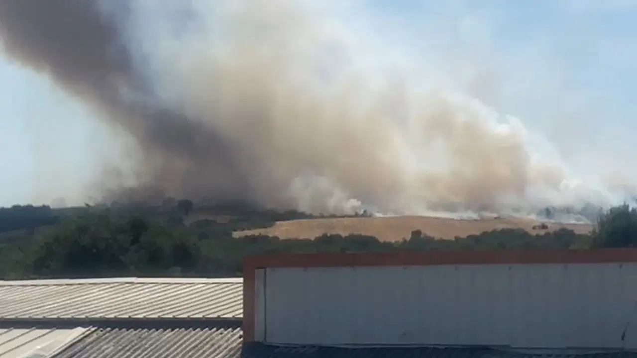 Bursa'da orman yangını!