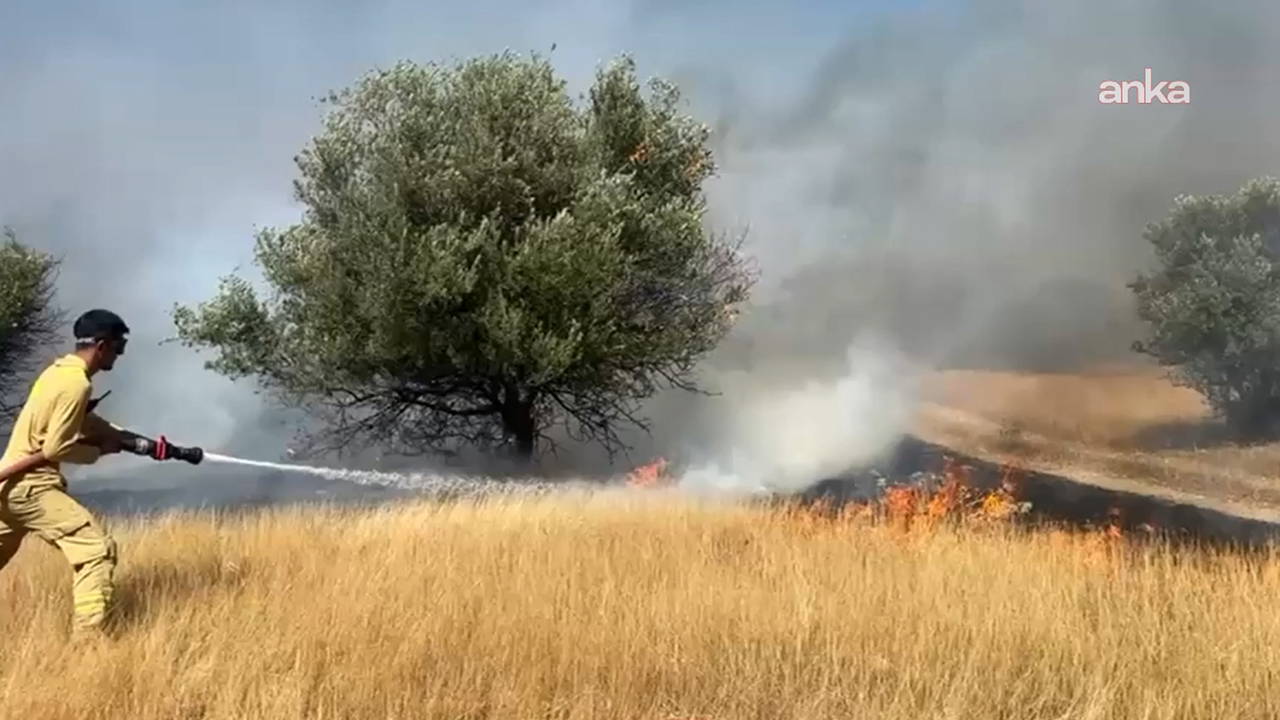 Bir yangın daha: Muğla Milas'ta makilik ve zeytinlik alanda alevler yükseldi!