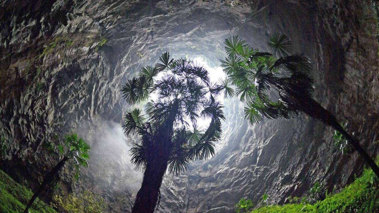 Yerin 190 metre altında saklı bir dünya: Çin'de antik ormanlarla dolu 'Cennet Çukurları' keşfedildi