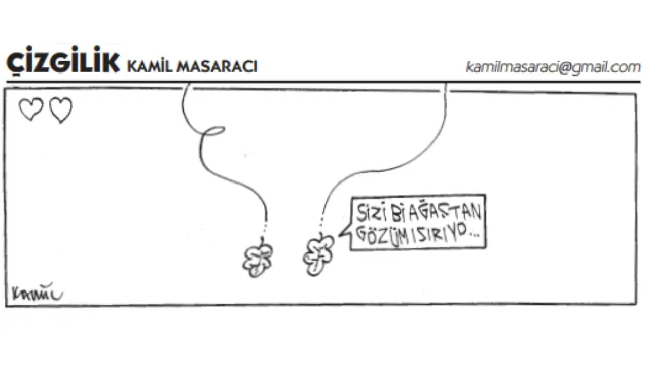 Çizgilik - 19 Haziran 2026