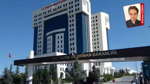 Müdürlere TOGG, memura gelince bütçe yok! 