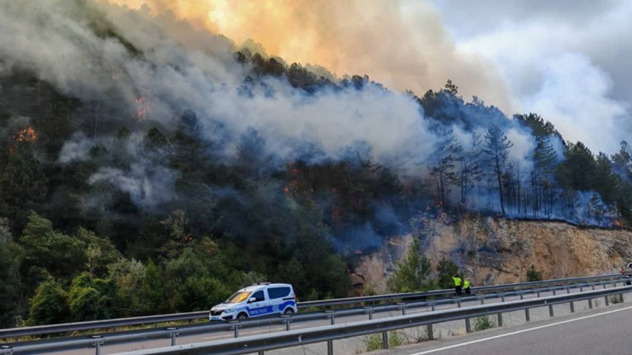 Son dakika... Bolu'da orman yangını paniği: Rüzgarın etkisiyle büyüdü!