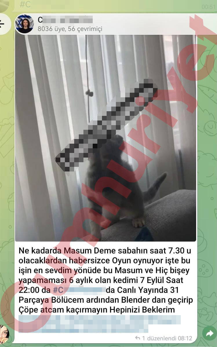 Galeri Görseli