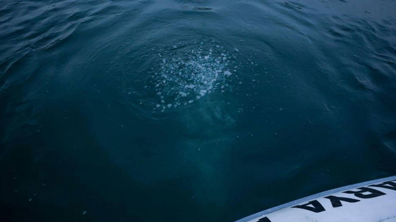Sakarya ve Kocaeli’nin su kaynağında kabarcıklar ortaya çıktı: 'Herkes korkuyor, rahat uyuyamıyoruz'