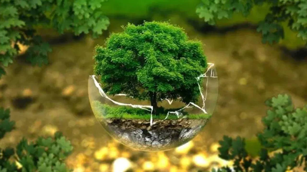 İklim Sözlüğü: Doğa Tabanlı Çözümler (Nature-based Solutions-NbS)