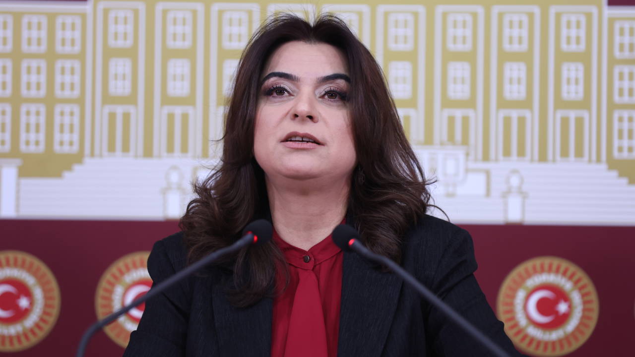 DEM Parti'li Koçyiğit: 'Süreç yasaları, hızlı bir şekilde Meclis'e getirilerek yasalaşmalı'