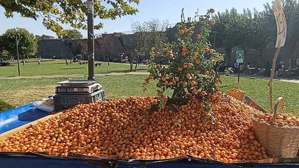 Faydaları saymakla bitmiyor:  Tezgahtaki yerini aldı...