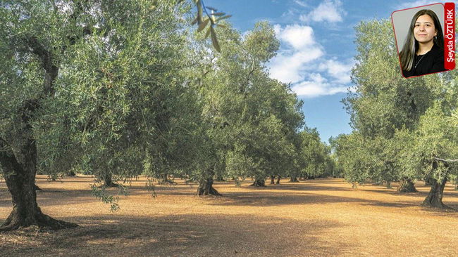 Hatay’a yeni darbe...