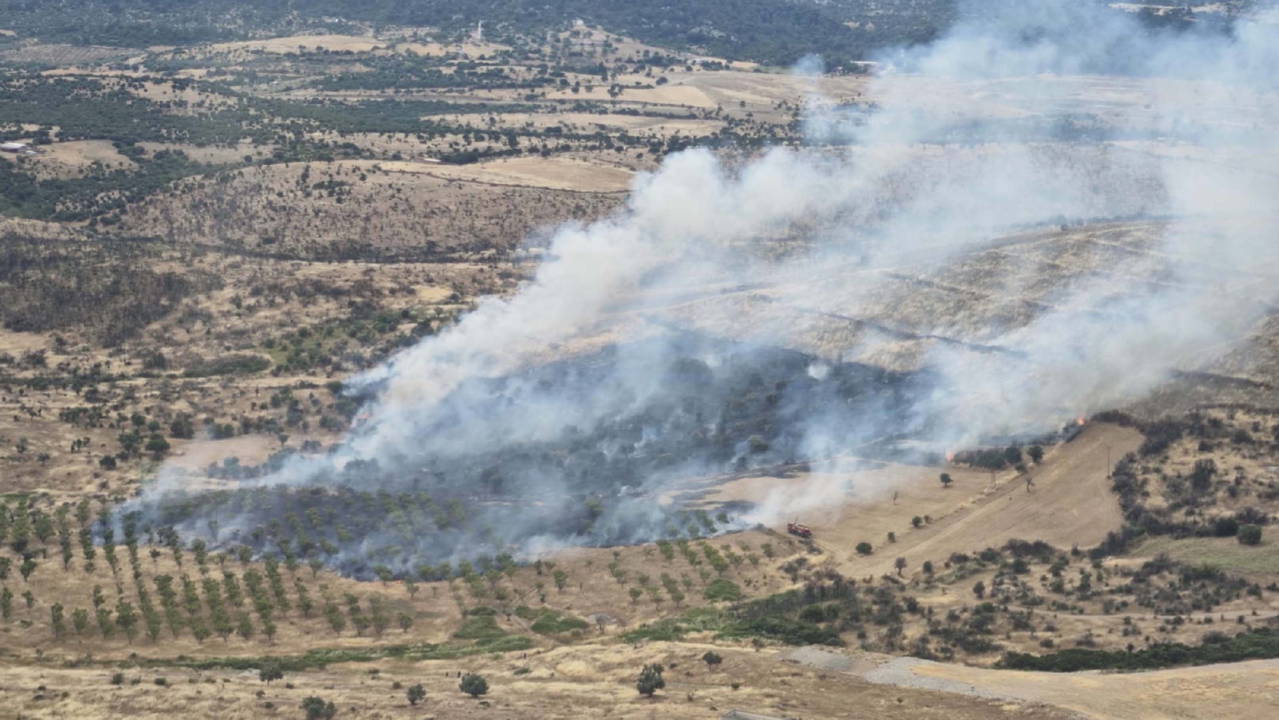 Geniş bir alana yayılmıştı... Çanakkale'de çıkan orman yangını kontrol altında