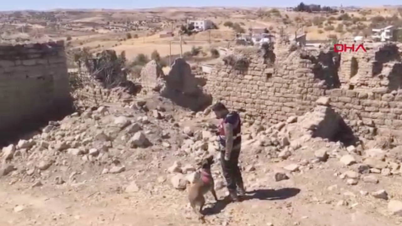 Siirt’te kaybolan Alzheimer hastası 74 gün sonra ölü bulundu