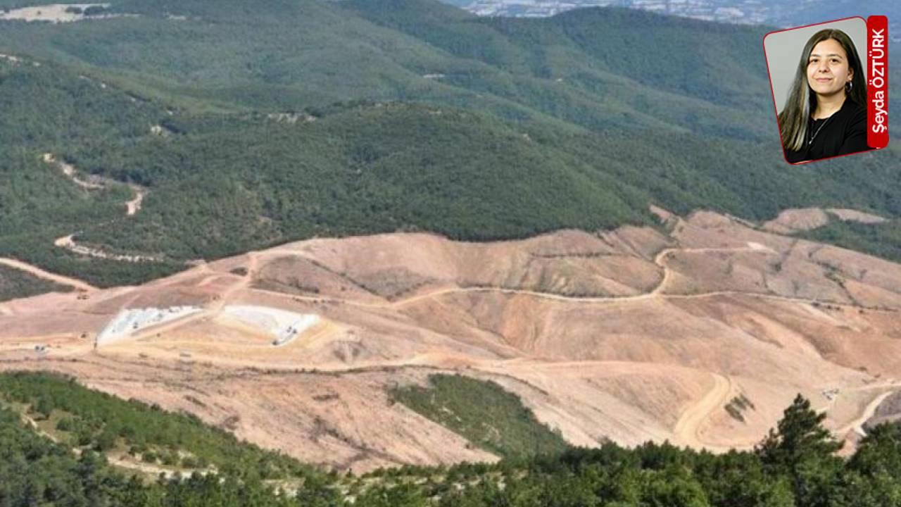 Kaz Dağlarında sermaye baskısı