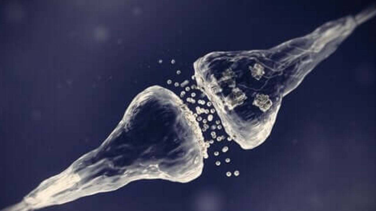 Dünyanın Ödüllü Reklam Prodüksiyon Devi Türkiye’de Stratejik Ortaklık Kurdu