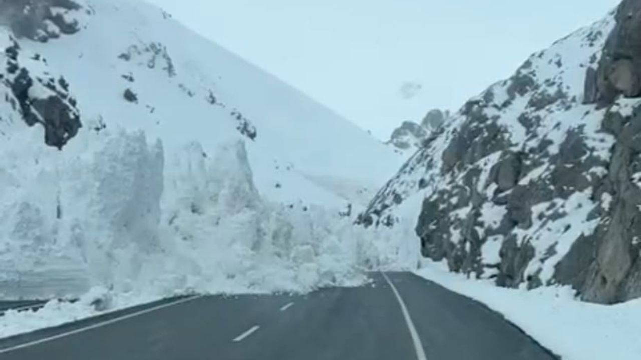Van-Hakkari karayoluna çığ düştü