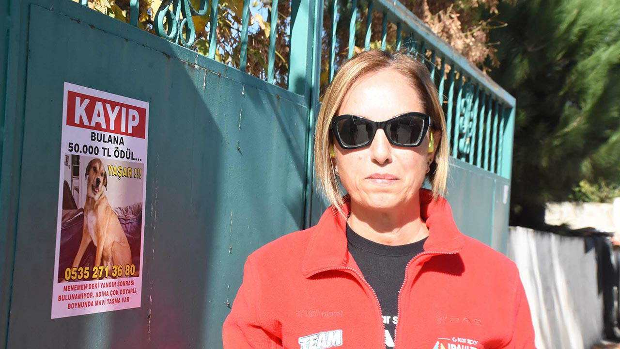 Kayıp köpeğini bulana 50 bin lira ödül verecek