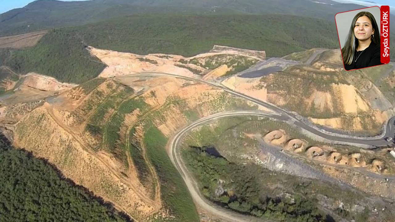 İstanbul’da 25 bin ağaç için kesilme tehlikesi!