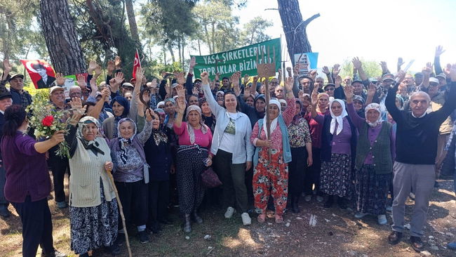 İstanbul Barosu'ndan Akbelen çağrısı 